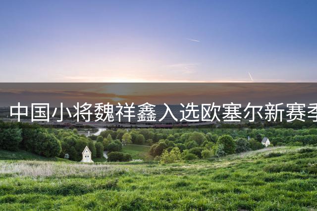 中国小将魏祥鑫入选欧塞尔新赛季名单 有望迎法甲首秀