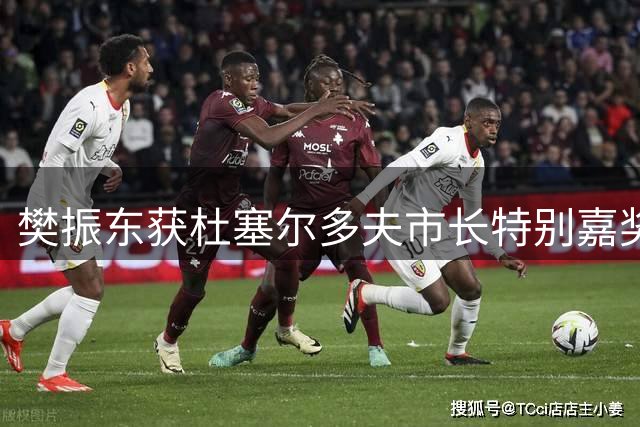 樊振东获杜塞尔多夫市长特别嘉奖 将迎德甲首秀